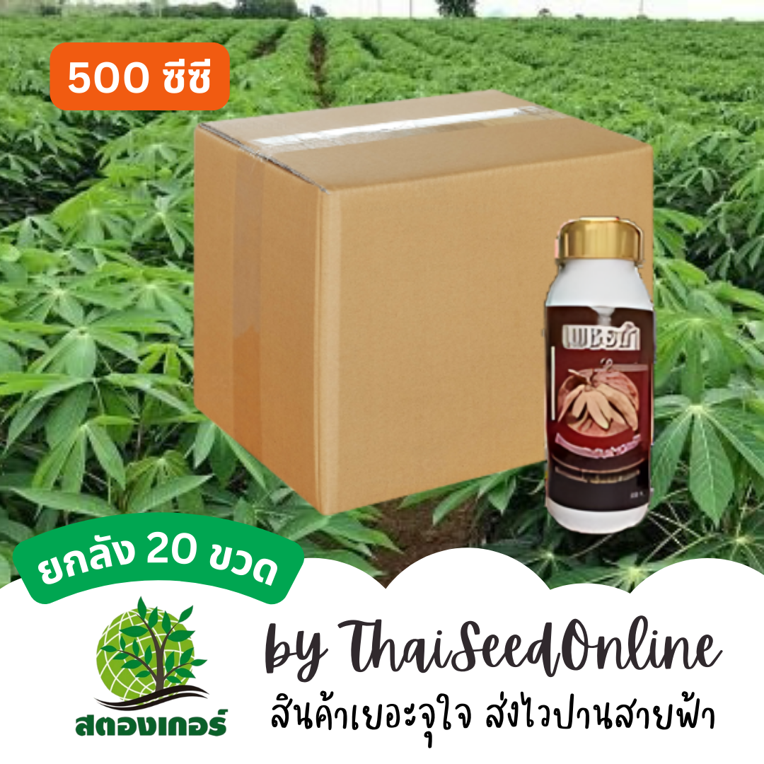 📦 ยกลัง 📦 สตองเกอร์ เพชรดำลงหัว ระเบิดหัวมัน 500ซีซี (20ขวด)