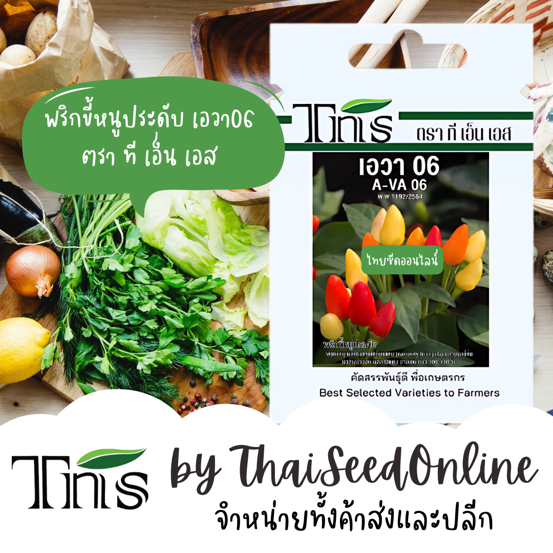 TNS(ทีเอ็นเอส) TNS เมล็ดพันธุ์แบบซองเล็ก พริกประดับ เอวา06 ตรา ที เอ็น เอส