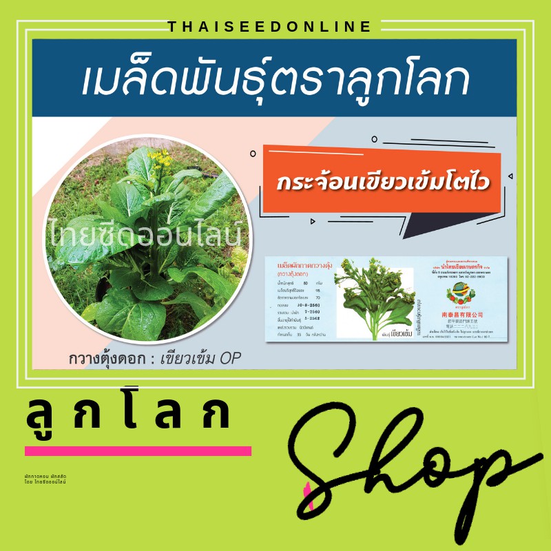 เมล็ดพันธุ์ กป 80 กรัม ผักกาดกวางตุ้งดอก ต้นเขียว ตราลูกโลก