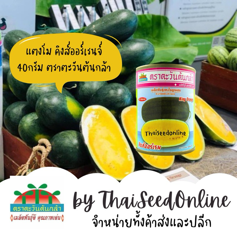 Advance Seeds(ตราตะวันต้นกล้า) ADV กป 40g. เมล็ดพันธุ์ แตงโมเนื้อส้ม คิงส์ออร์เร้นจ์ 40กรัม ตราตะวันต้นกล้า King Orange Watermelon