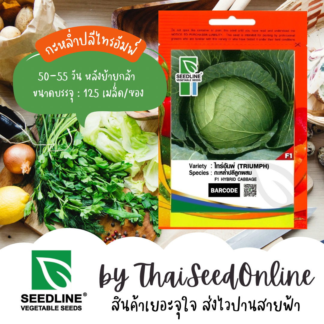 SL เมล็ดพันธุ์ซองเล็ก กะหล่ำปลี ไทรอัมพ์ ตราซีดไลน์ Cabbage