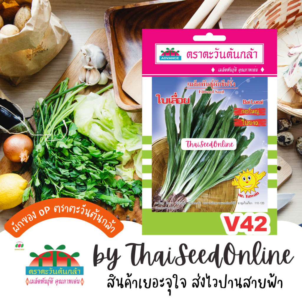 Advance Seeds(ตราตะวันต้นกล้า) ADVOP ซฟ เมล็ดพันธุ์ ผักชีฝรั่ง ใบเลื่อย ประมาณ 2500 เมล็ด ตราตะวันต้นกล้า V42