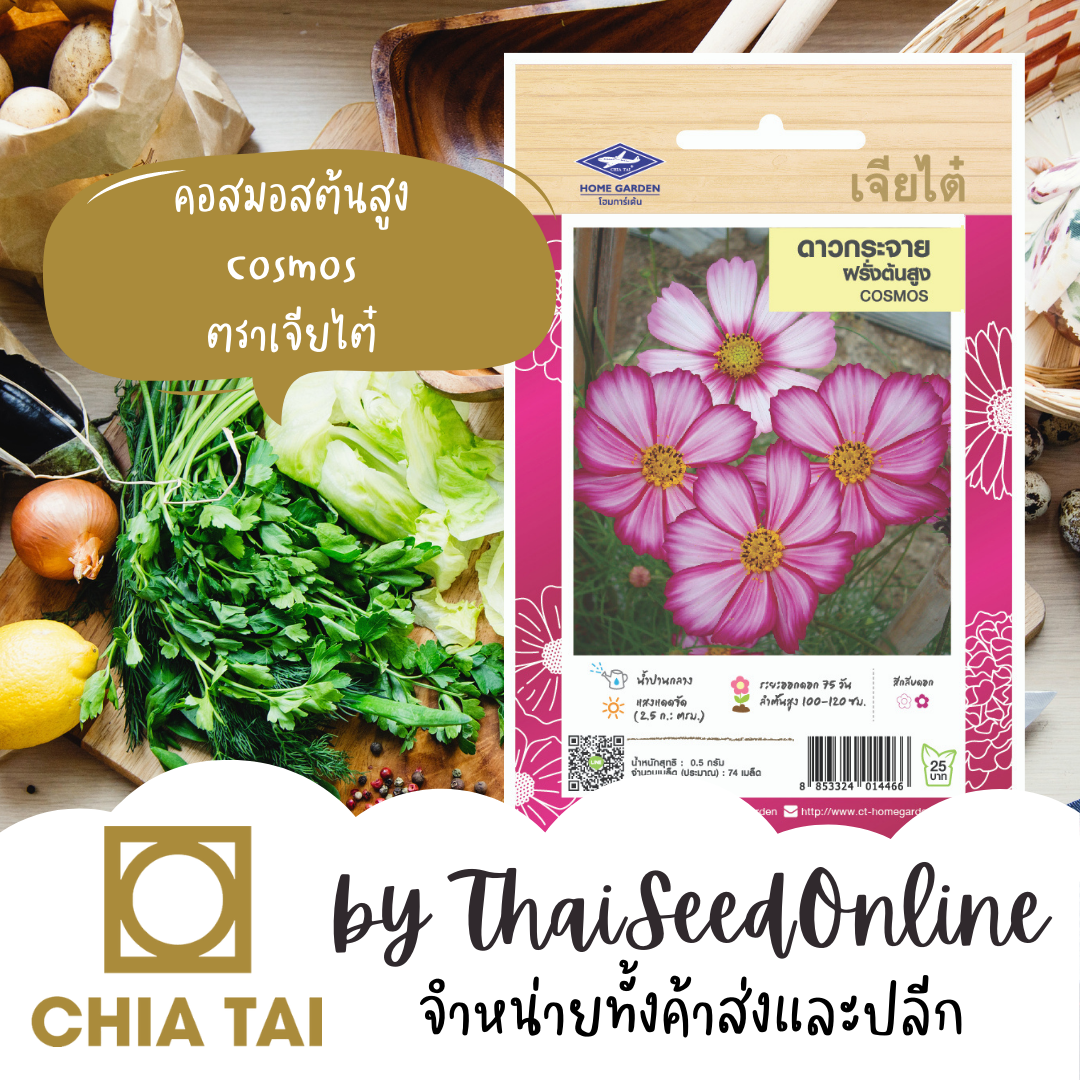 CTFW ดาวกระจายฝรั่งต้นสูง ตราเจียไต๋ เมล็ดดอกไม้ COSMOS คอสมอส