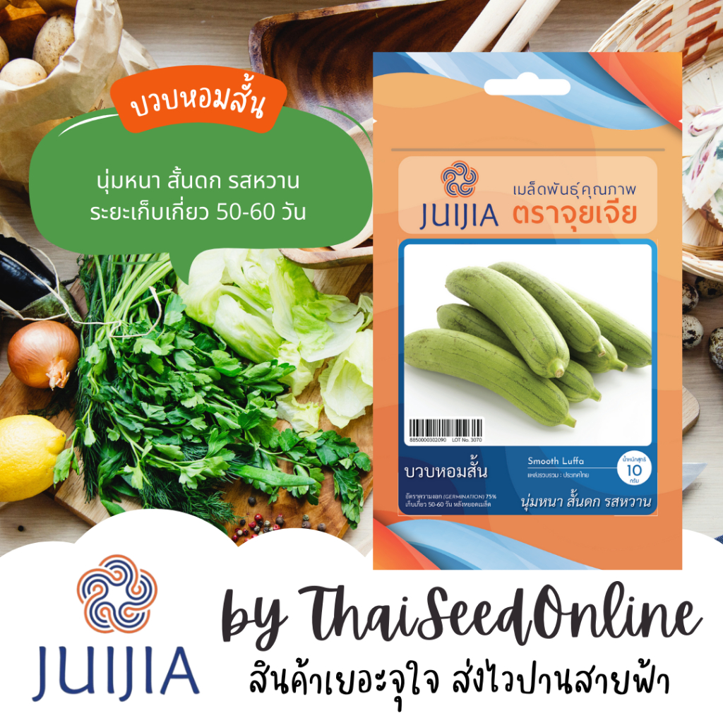 Juijia(จุยเจีย) Juijia(จุยเจีย) JJ เมล็ดพันธุ์ จุยเจีย บวบหอมสั้น Gourd