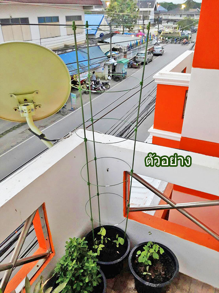 ค้างไม้เลื้อย ไม้กระถาง ลวดล้อมไม้