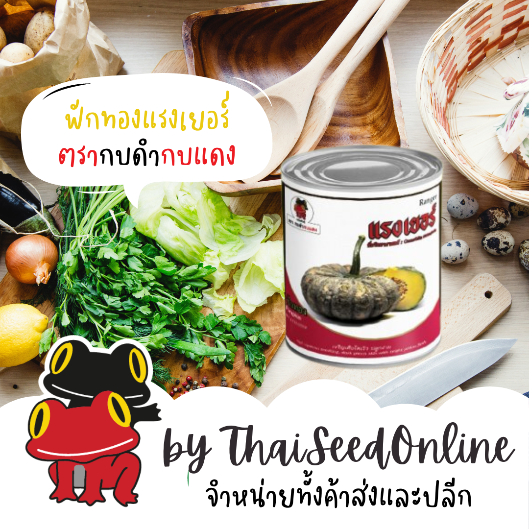 AGAHCOM เมล็ดพันธุ์ ฟักทอง ลายข้าวตอก แรงเยอร์ 40กรัม ตรากบดำกบแดง Pumpkin