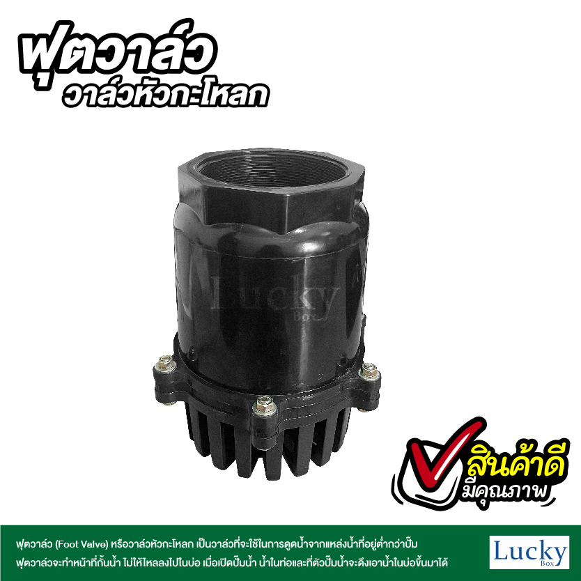 ฟุตวาล์ว (Foot Valve) วาล์วหัวกะโหลก ขนาด 2 นิ้ว