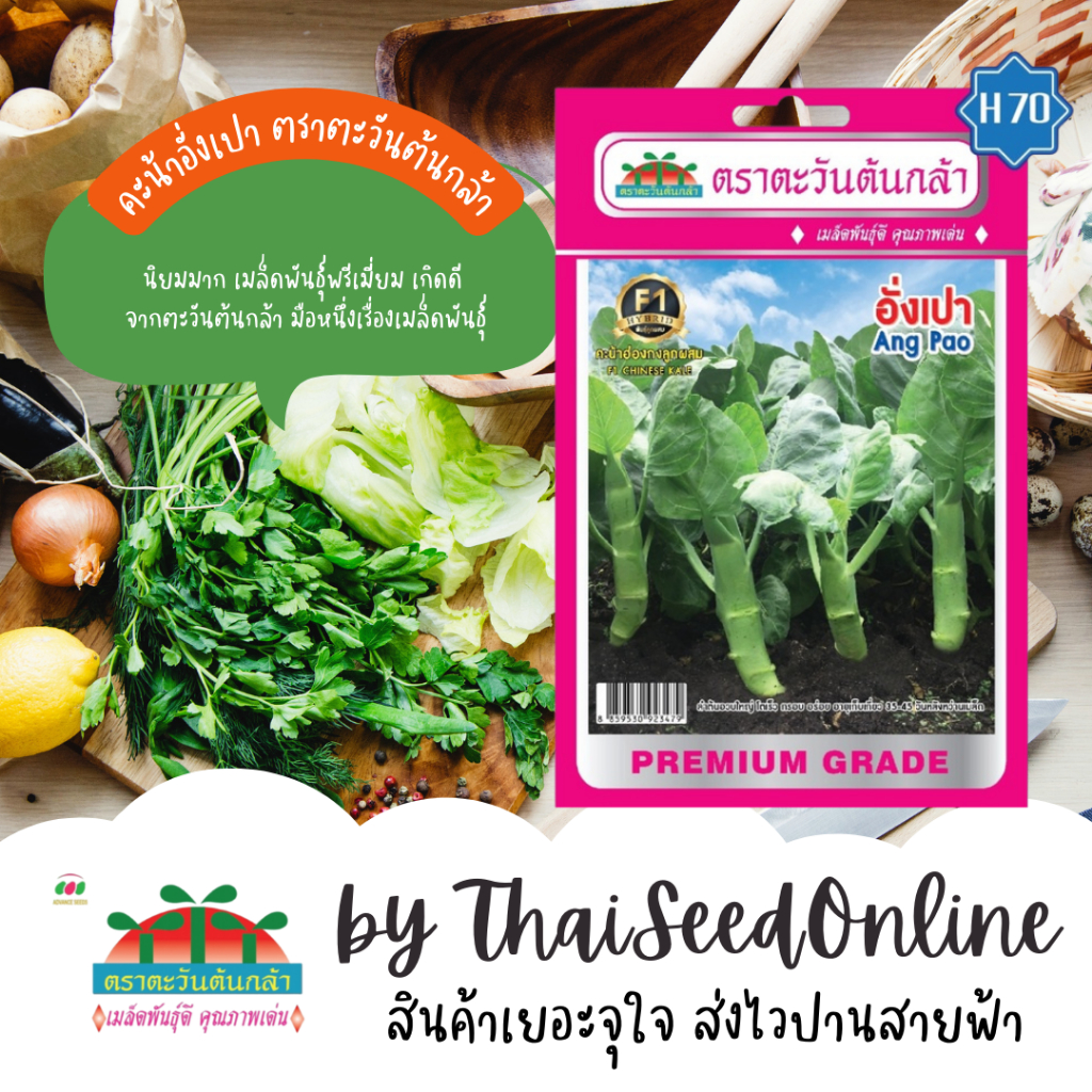 Advance Seeds(ตราตะวันต้นกล้า) ADVF1 ซฟ เมล็ดพันธุ์ลูกผสม คะน้าฮ่องกง อั่งเปา ปริมาณ 3กรัม ตราตะวันต้นกล้า H70 Chinese Broccoli