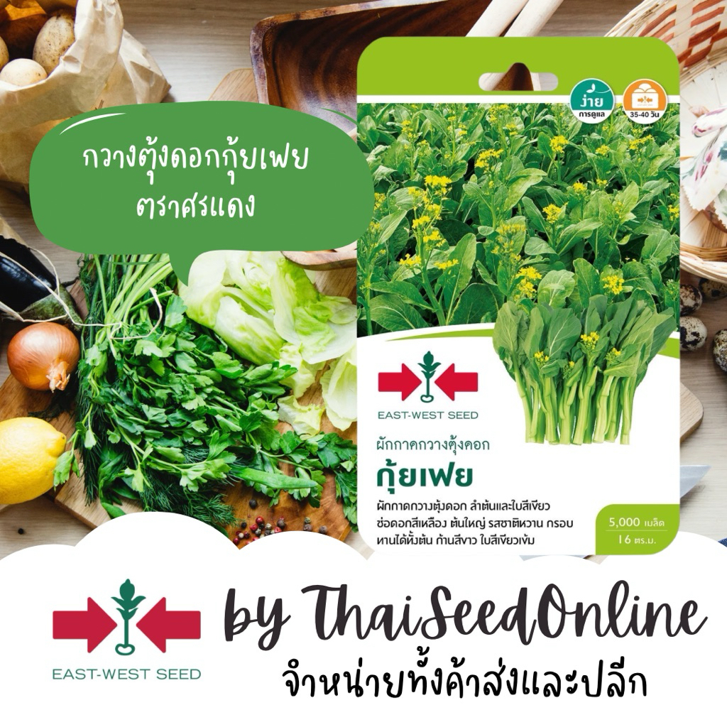 Sorndang(ศรแดง) GGEW เมล็ดพันธุ์ กวางตุ้งดอกฮ่องกง ลำต้นอวบ กุ้ยเฟย ตราศรแดง Pak Choy