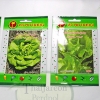 เมล็ดผักสลัด salad lattice vegetable ขนาด 1 กรัม