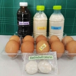ปุ๋ยน้ำชีวภาพไข่และนมหมักยีสต์ หรือฮอร์โมนไข่-นมสดง่ายๆ ใช้เอง