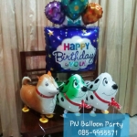 น้องหมาสุดน่ารัก เอาใจสายคนรักมะหม๋า walking dog and birthday balloons