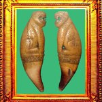 เสือหลวงพ่อนกวัดสังกะสี