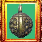 พญาเต่าเรือนหลวงพ่อเงินวัดบางคลาน ตัวที่ 7