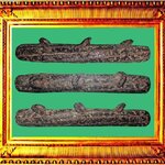 ตะกรุดหนังหน้าผากเสือหลวงพ่อเต๋คงทอง