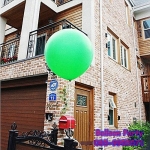 ลูกโป่งไซต์ใหญ่จัมโบ้ทรงกลม สีเขียว Jumbo Latex Balloon ขนาด 16 นิ้ว