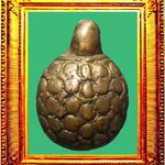 พญาเต่าเรือนหลวงพ่อเงิน ตัวที่ 3