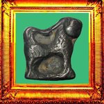 สิงห์คอยาวรุ่นแรกหลวงพ่อกวยวัดโฆสิตาราม ตัวที่ 5