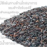 คุณสมบัติเด่นทางด้านโภชนาการของข้าวไรซ์เบอร์รี่