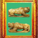 เขี้ยวเสือแกะหลวงพ่อเฮงวัดเขาดิน (ขนาด 2.5 x 1.1 ซ.ม. หนัก 2.19 กรัม)