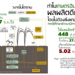 ทำไมเกษตรอินทรีย์ผลผลิตดีกว่าโดยไม่ต้องพึ่งพาปุ๋ยเคมี