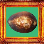 เบี้ยแก้หลวงพ่อคำวัดโพธิ์ปล้ำอ่างทอง