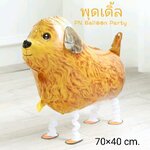 Walking Pet สัตว์เลี้ยงเดินได้ สุนัขพุดเดิ้ล ( Poodle) Walking Dog Balloon