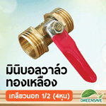 มินิบอลวาล์ว ทองเหลือง เกลียวนอก 1/2 (4หุน)