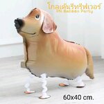Walking Pet สัตว์เลี้ยงเดินได้ สุนัขโกลเด้นรีทรีฟเวอร์ Walking Dog Golden Retriever Balloon