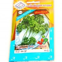 เมล็ดพันธุ์พาร์สเลย์บรรจุ 220 เมล็ด ( 1 ซอง )