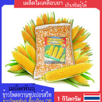 เมล็ดพันธุ์ข้าวโพดหวาน บรรจุถุง 1 กก