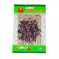 เมล็ดผักสลัดเรดโอ้ค ( สลัดใบม่วง ) Red oak