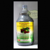 ไมโครเดอม่า Mycodema ขวดใหญ่ 1000 ซีซี