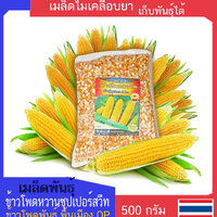 เมล็ดพันธุ์ข้าวโพดหวาน บรรจุถุง 500 กรัม