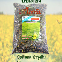 เมล็ดพันธุ์ปอเทือง บรรจุถุง 1 กก