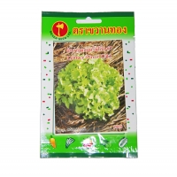 เมล็ดผักสลัดกรีนโอ้ค Green Oak