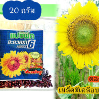 บรรจุ 20 กรัม