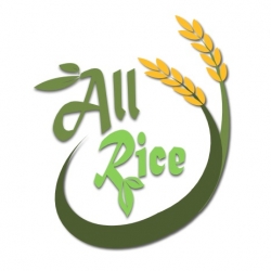 All Rice Surin