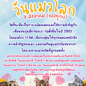 "วันแมวโลก" วันที่ 8 สิงหาคม (ของทุกปี)
