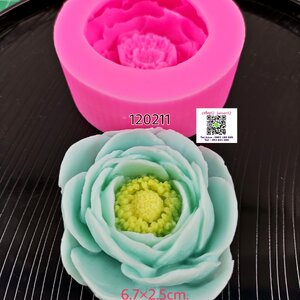 โมลซิลิโคน 2D 3D