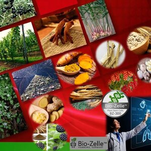 สมุนไพรนาคี ของดีในตำนาน