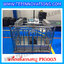 เครื่องชั่งหมูแบบกรงสแตนเลส built in printer ยี่ห้อ SDS รุ่น IDS701-PLCD พิกัด 300kg ความละเอียด 100g