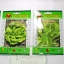 เมล็ดผักสลัด salad lattice vegetable ขนาด 1 กรัม