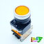 Push button 22mm