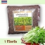 เมล็ดพันธุ์ผักบุ้ง พันธุ์เรียวไผ่ เหมาะกับปลูกต้นอ่อน