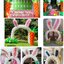 ซุ้มโค้งกระต่าย อิสเตอร์เดย์ Rabbit & Easter day Balloons colum