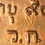 เหรียญพระอยุธยาทรงเครื่องหลวงปู่เพิ่ม องค์ที่ 1