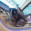 จองแล้ว C220d Exclusive W205