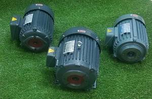มอเตอร์ไฟฟ้าเพลาใน ELECTRIC MOTORS