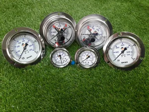 Gauge & Needle Valve